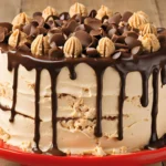 Peanut Butter Ice Cream Cake Recipe