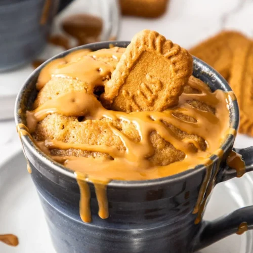 Cookie Butter Mug Cake