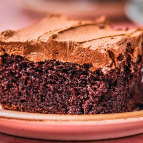 Chocolate Cake With Mayonnaise